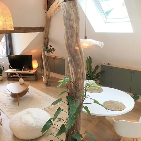 Entier Le Lumiere, Avec Jacuzzi Apartmán *
